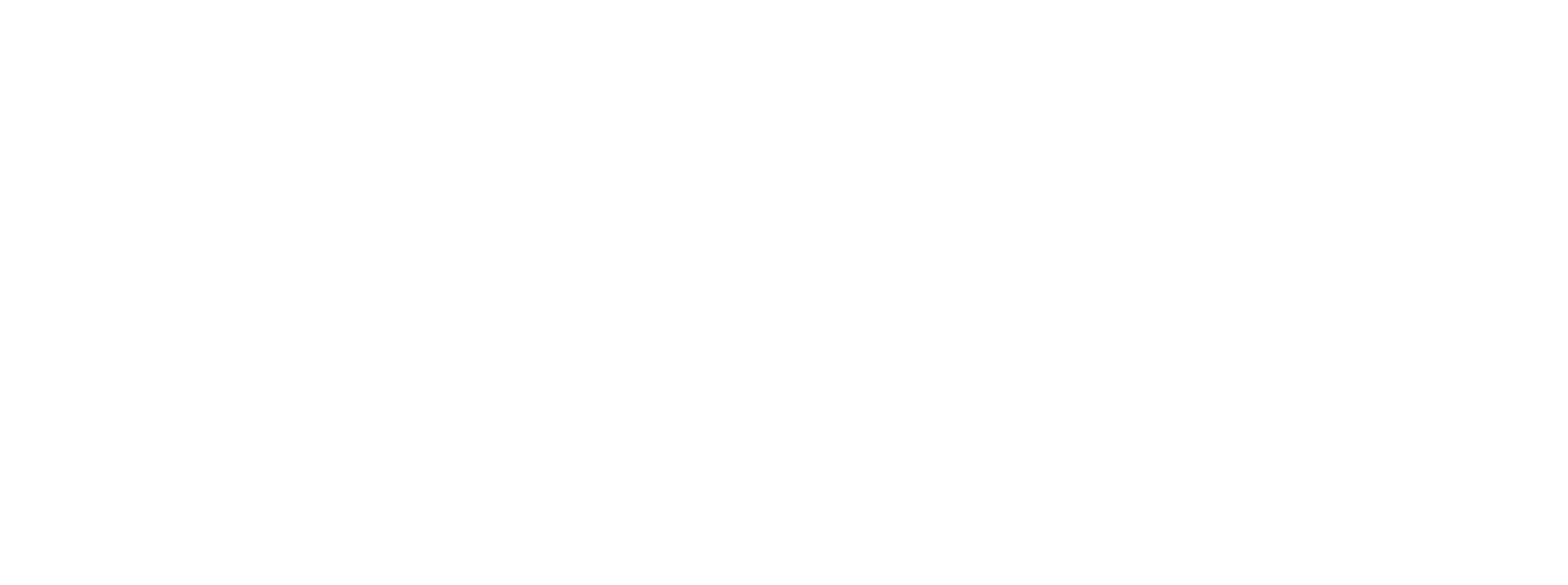 Carlson CAD Solutions